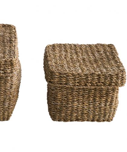 Image Category Product