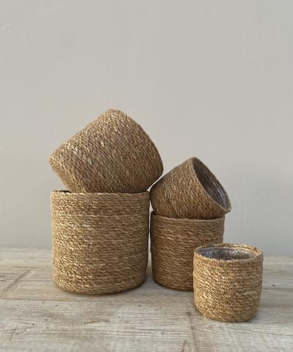 Image Category Product