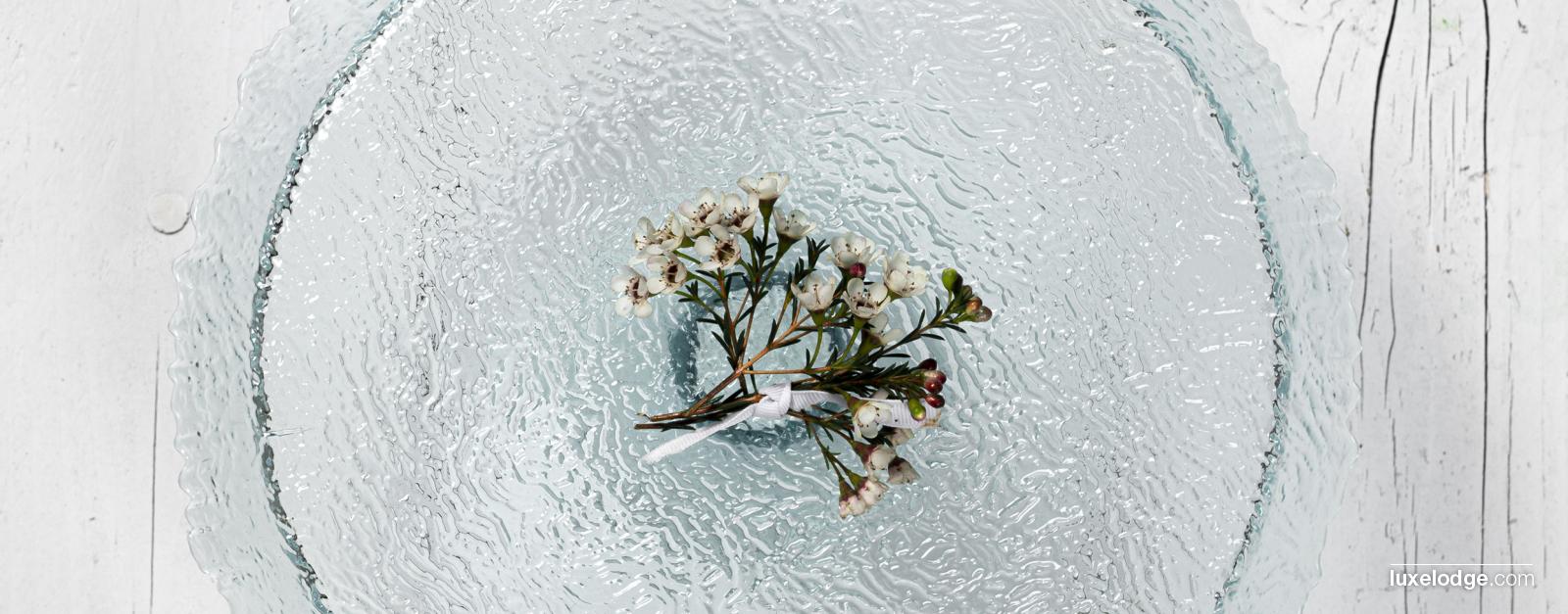 Image Category Selected