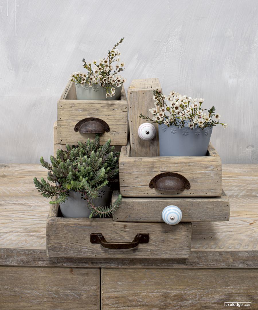 Image Category Product