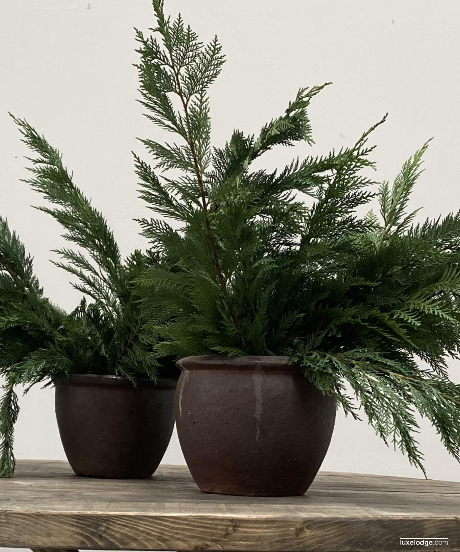 Image Category Product